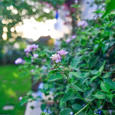 博德鲁姆哥斯达酒店 3*