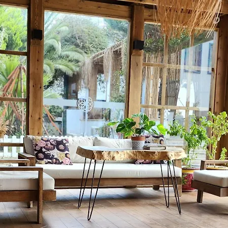 酒店 博德鲁姆哥斯达酒店