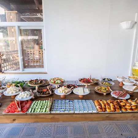 酒店 博德鲁姆哥斯达酒店 3*