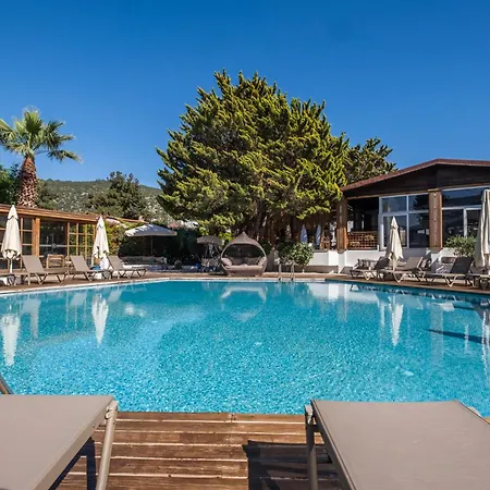 酒店 博德鲁姆哥斯达酒店