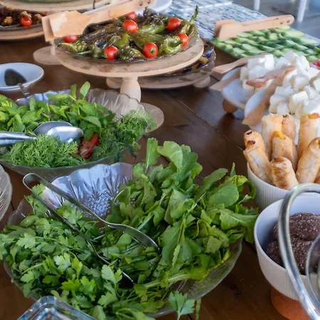 博德鲁姆哥斯达酒店 酒店