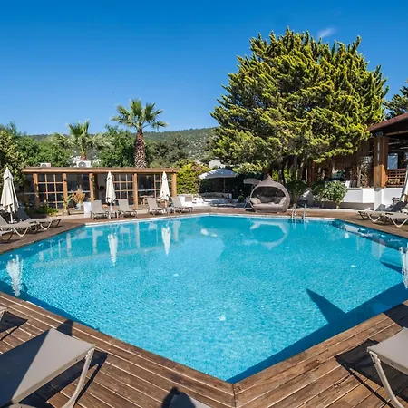 Hotel Costa 3*