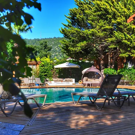 코스타 보드룸 시티 3* Bodrum